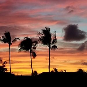 Meet your Posher, Kari